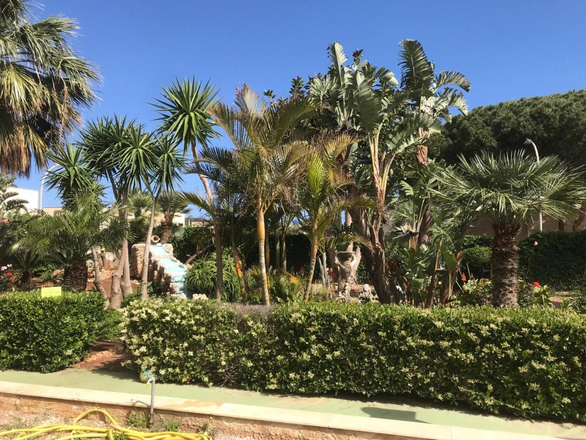 شقة Le Palme Tropicali سان فيتو لو كابو المظهر الخارجي الصورة